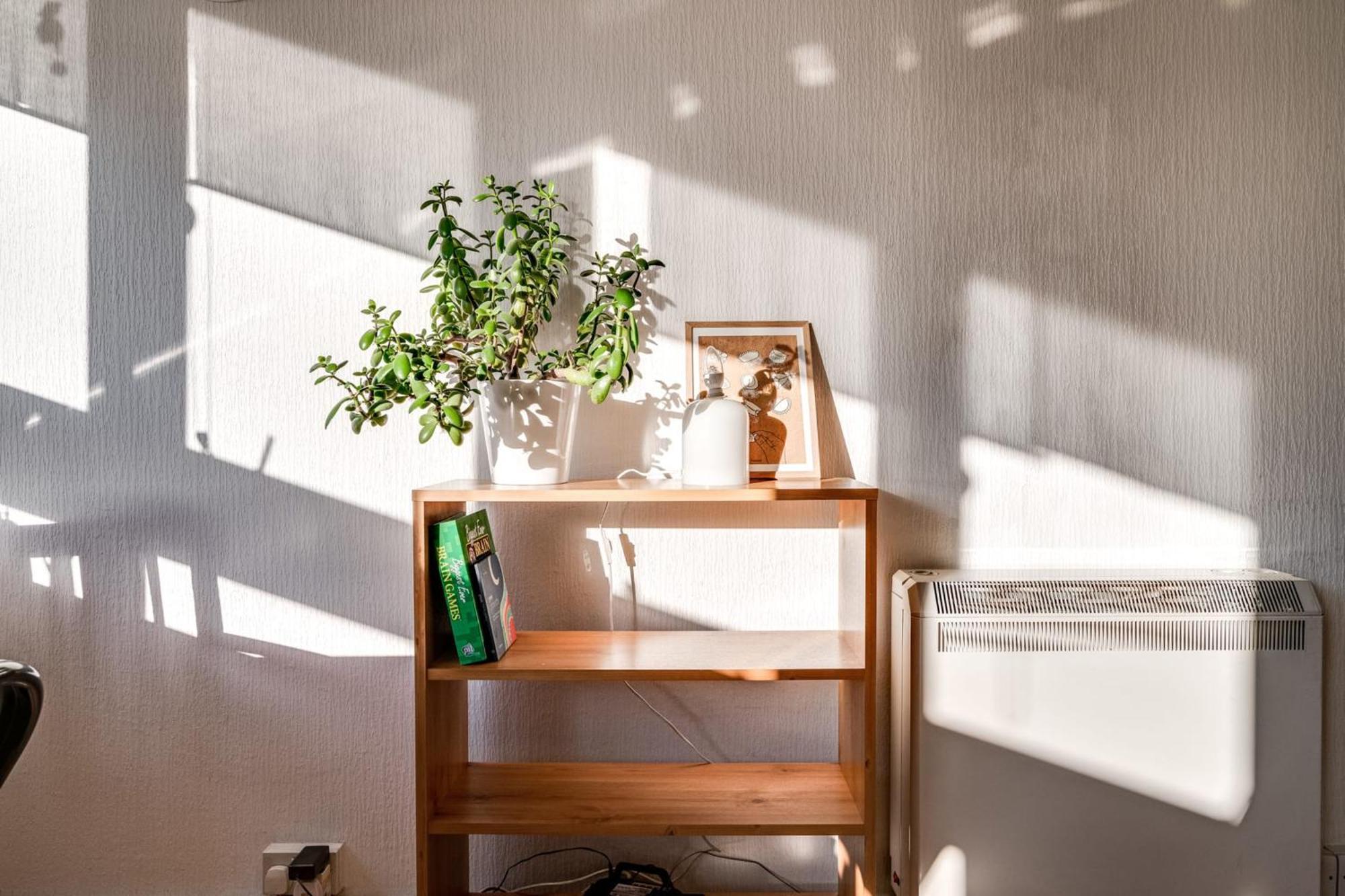 דירות לונדון Cosy Battersea Flat מראה חיצוני תמונה